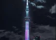 东京唱片店巡游 1